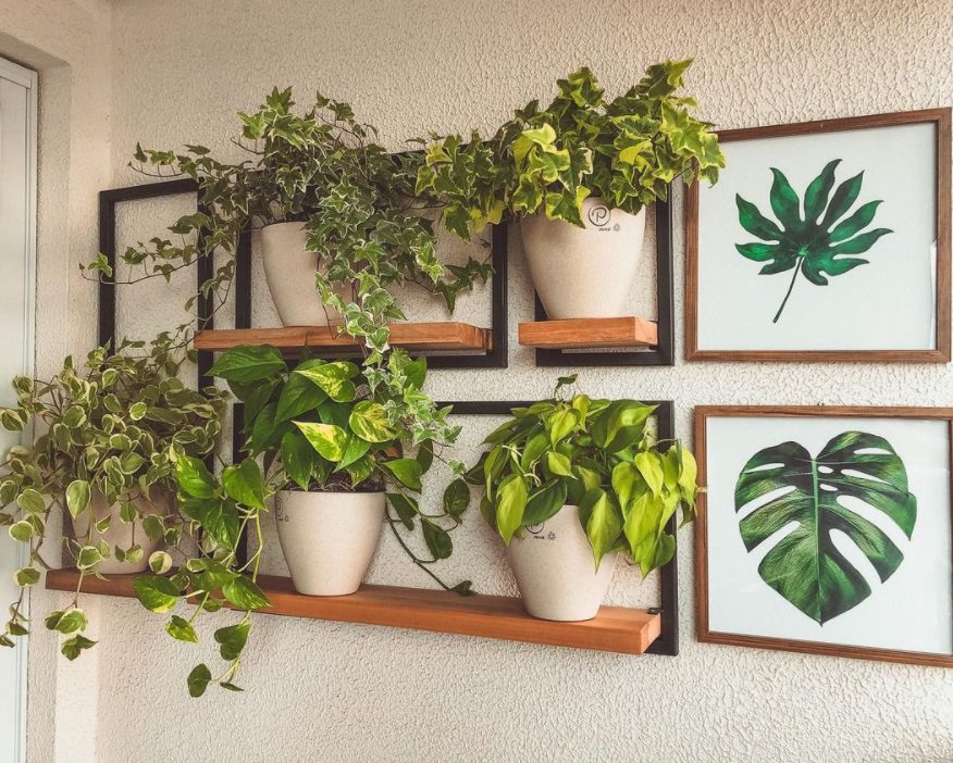 Urban Jungle: Vivendo com Plantinhas Dentro de Casa