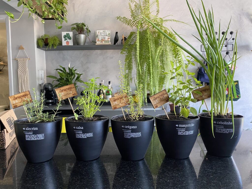 vaso autoirrigavel