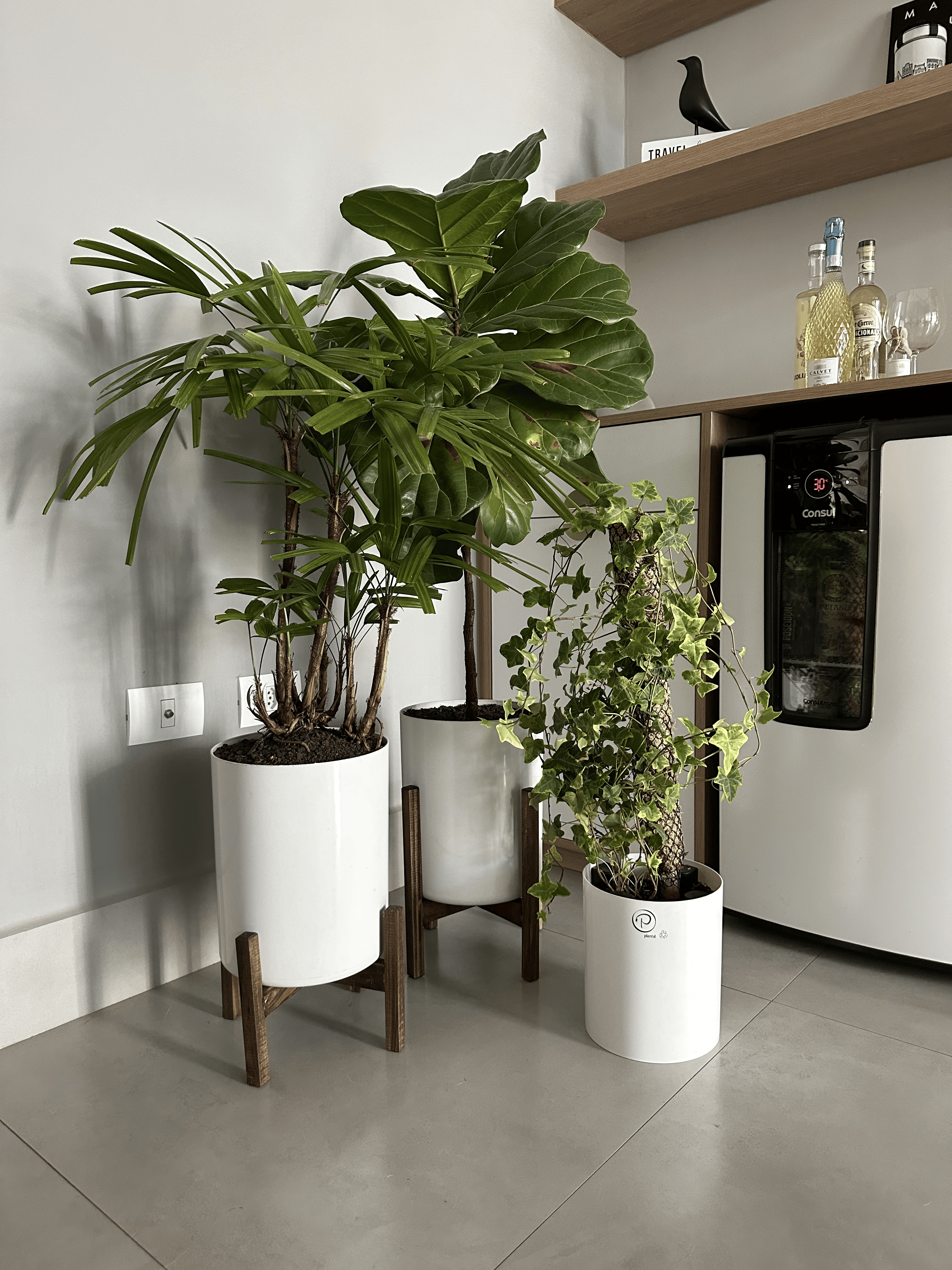 vaso autoirrigavel grande